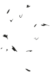 cropped-logo-esperimenti.png Esperimenti di Volo